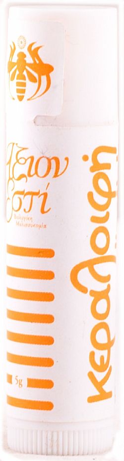 Lipstick Κεραλοιφή για τα χείλη 6ml