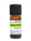 Ευκάλυπτος - Eucalyptus globulus / 10ml 