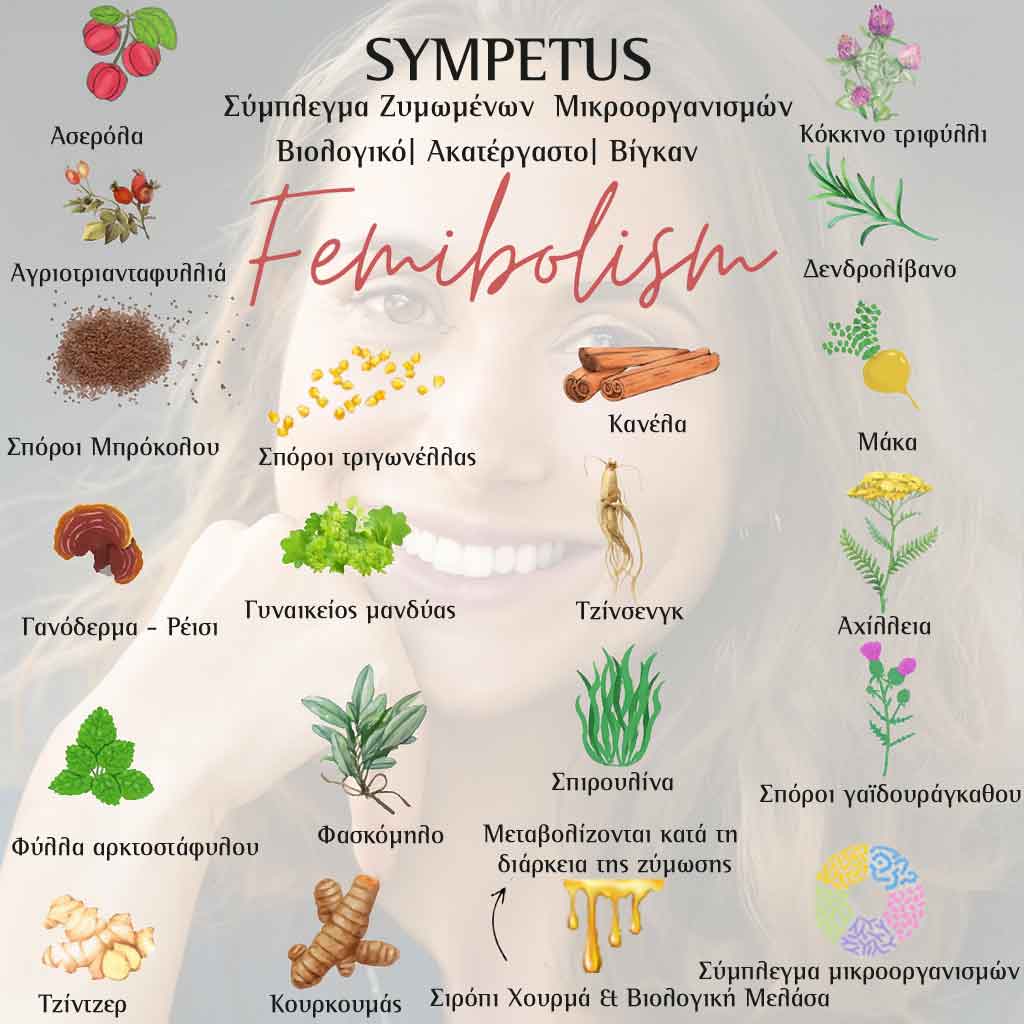 Femibolism Πρε/προβιοτικό για το ορμονικό σύστημα της γυναίκας | 500ml
