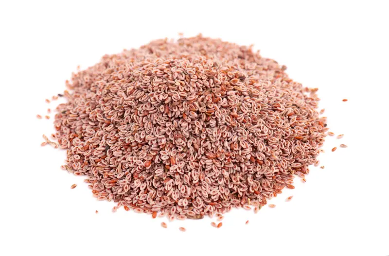 Ψύλλιουμ (Psyllium) / 1kg