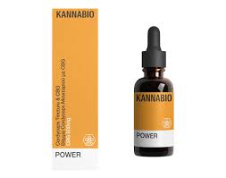 POWER Βάμμα Μανιταριού Cordyceps με CBG 500mg (20ml)