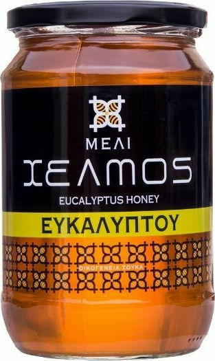 Mέλι Ευκαλύπτου 480gr Συμβατικό