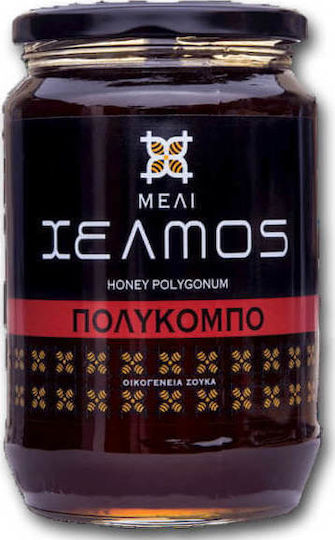 Μέλι Πολύκομπο  480gr Συμβατικό