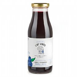 Χυμός Μύρτιλου (500ml)