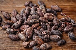 Ακατέργαστοι Σπόροι Κακάο- Cacao beans Raw 1kg(χύμα)