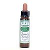 Recovery Remedy (Rescue Remedy by Bach) 10ml