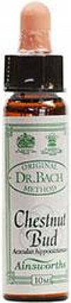 Chestnut Bud - Ανθοίαμα Bach από την Ainsworths 10ml
