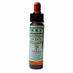 Star of Bethlehem - Ανθοίαμα Bach από την Ainsworths 10ml