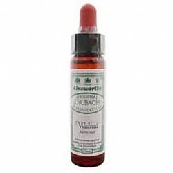 Walnut - Ανθοίαμα Bach από την Ainsworths 10ml