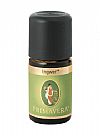 Αιθέριο Έλαιο Τζίντζερ (Πιπερόριζα) (Ginger) Bio 5ml Primavera