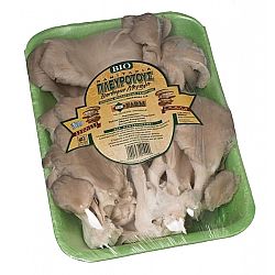 Μανιτάρια Πλευρότους δισκάκι 400γρ.