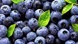 Μύρτιλλα (Blueberries) 125γρ