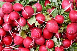 Ραπανάκια (τιμή/κιλό)