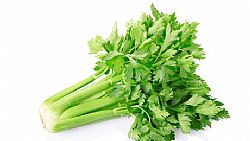 Σέλερι (τιμή/τμχ)