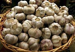 Σκόρδο (τμχ)