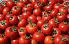 Τομάτες (τιμή/κιλό)