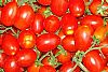Τοματάκια Βελανίδι (τιμή/κιλό)