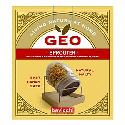 Γυάλινο Βάζο Βλάστησης- Spouting Jar