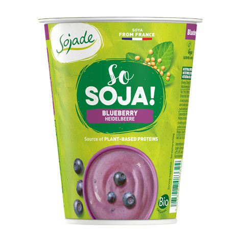 Επιδόρπιο σόγιας μύρτιλλο / 400gr