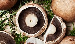 Μανιτάρια Πορτομπέλο (συσκευασία) / 250gr