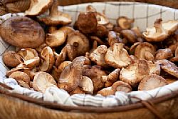 Μανιτάρια Σιτάκε 180γρ