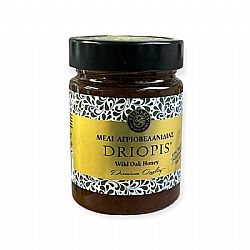 Driopis Μέλι Αγριοβελανιδιάς 420γρ