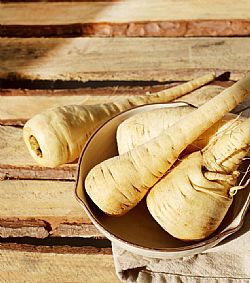 Παστινάκι τμχ