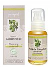  Λάδι Calophylle (Tamanu) bio 50ml