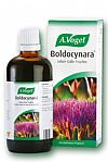 Boldocynara 50ml (Αποτοξινωτικό, αντιμετώπιση χοληστερίνης)