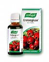 Crataegisan 50ml (Αντιμετώπιση υπέρτασης, στηθάγχης)