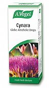 Cynara (Artichoke) 50ml